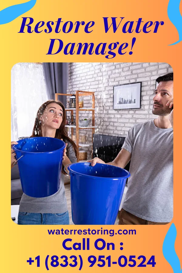 water restoration Patriot Extraction Professionals Byhalia