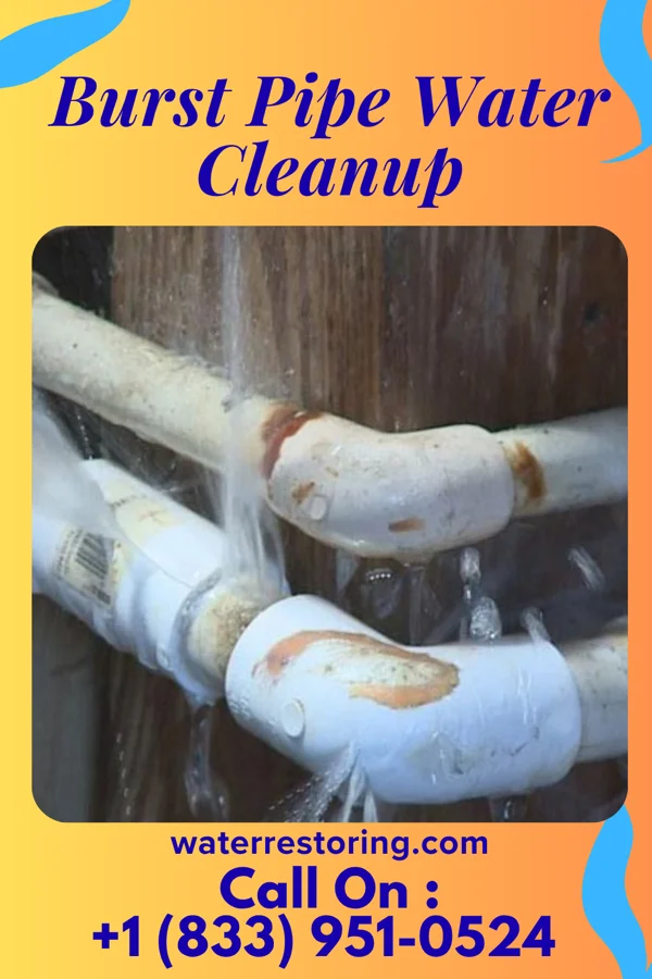 Burst Pipe Water Cleanup in Byhalia, MS