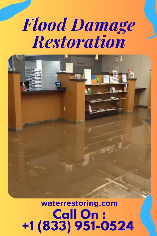 Flood Damage Restoration in Byhalia, MS