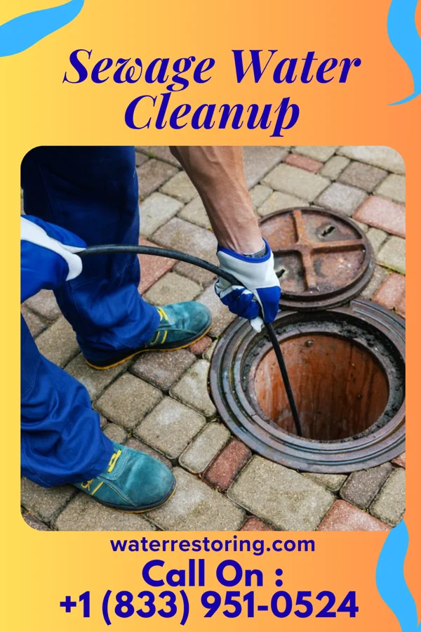 Sewage Water Cleanup in Byhalia, MS