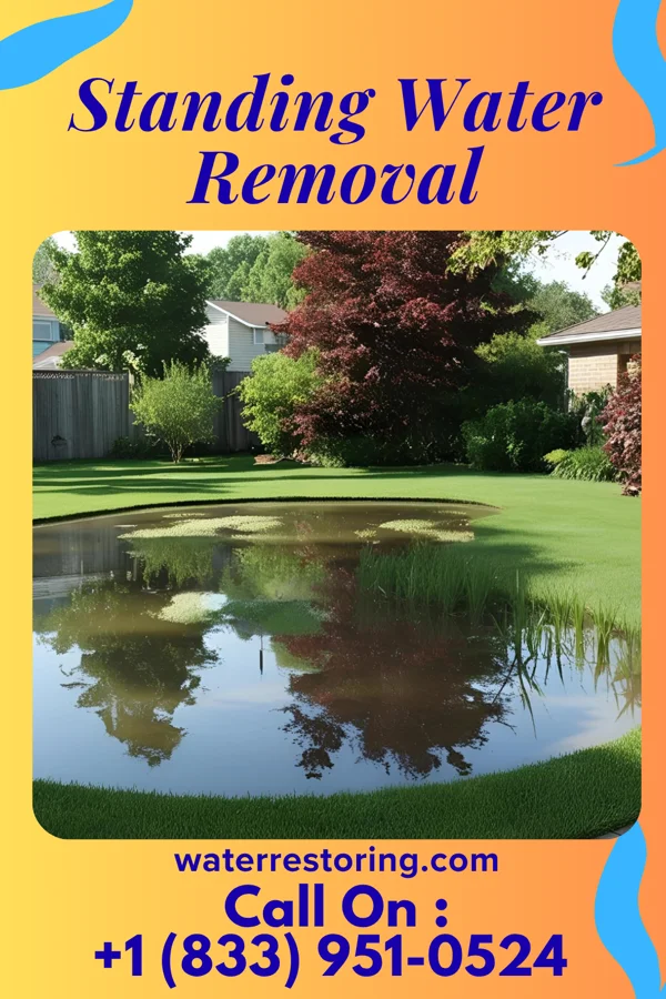 Standing Water Removal in Byhalia, MS